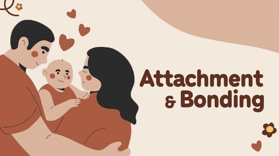 Attachment and Bonding